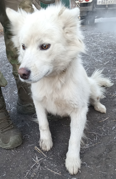 Зиминский район 36/24