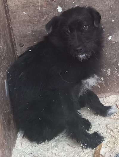 Зиминский р-н 6/25