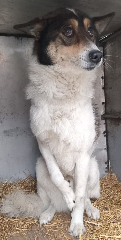 Зиминский р-н 22/25