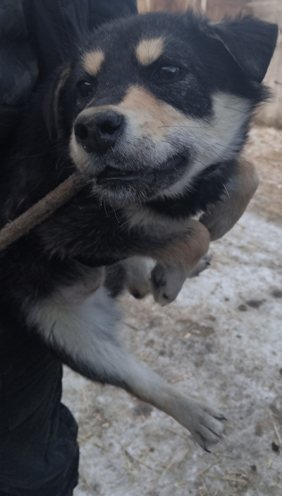 Чунский р-н 3/25