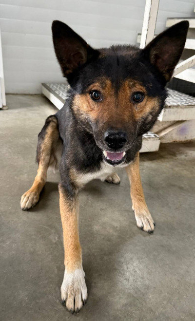 Иркутск 753/25