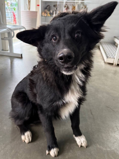 Иркутск 754/25