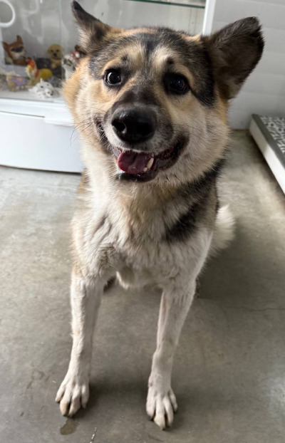 Иркутск 755/25