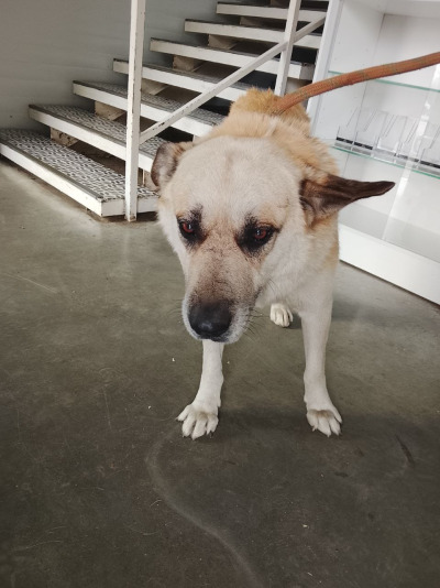 Иркутск 756/25