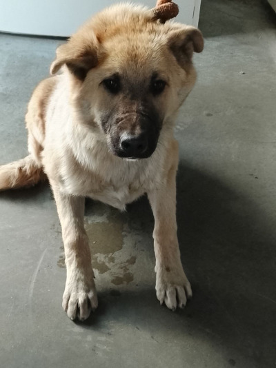 Иркутск 757/25