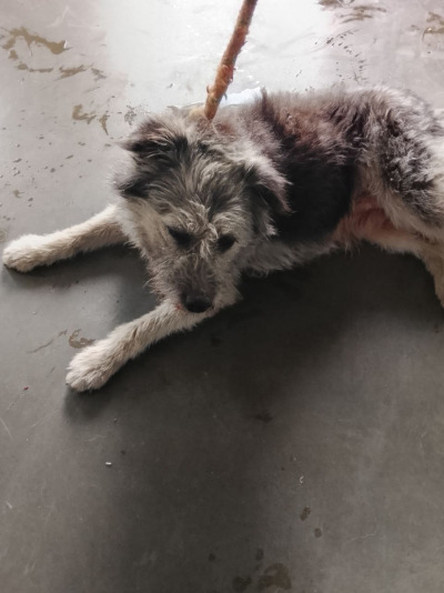 Иркутск 758/25