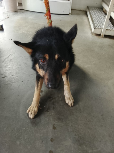 Иркутск 759/25