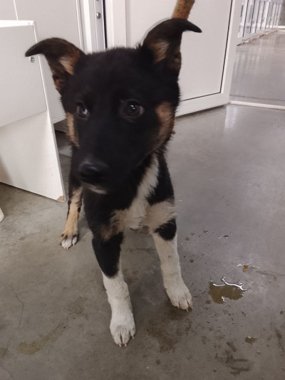 Иркутск 760/25