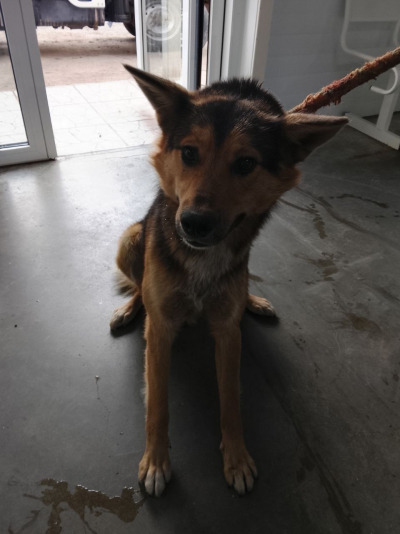 Иркутск 761/25