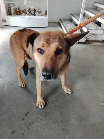 Иркутск 762/25