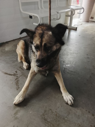 Иркутск 763/25