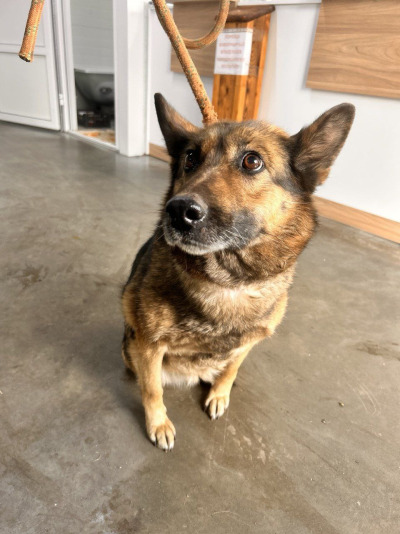 Иркутск 764/25