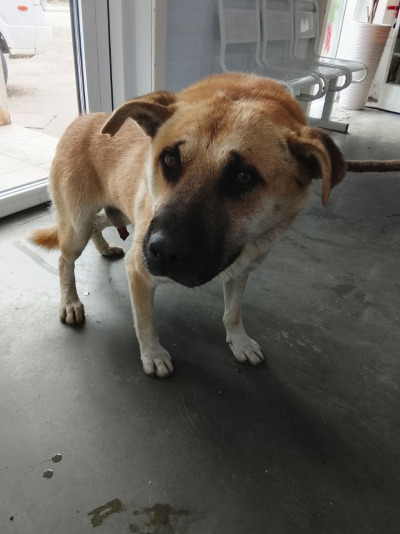 Иркутск 765/25