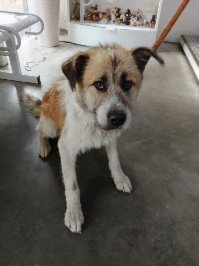 Иркутск 766/25