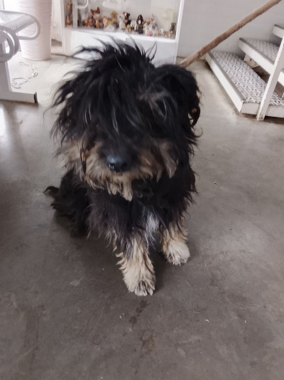 Иркутск 767/25