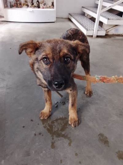 Иркутск 770/25