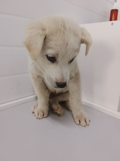 Иркутск 771/25