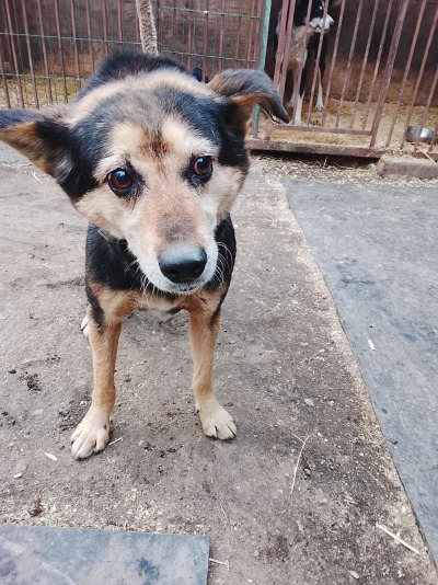 Иркутск 772/25