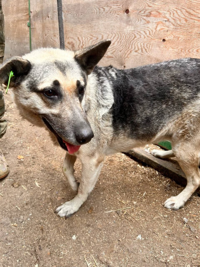 Иркутск 773/25