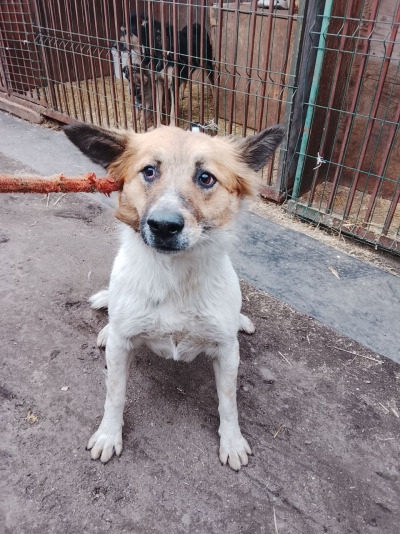 Иркутск 775/25