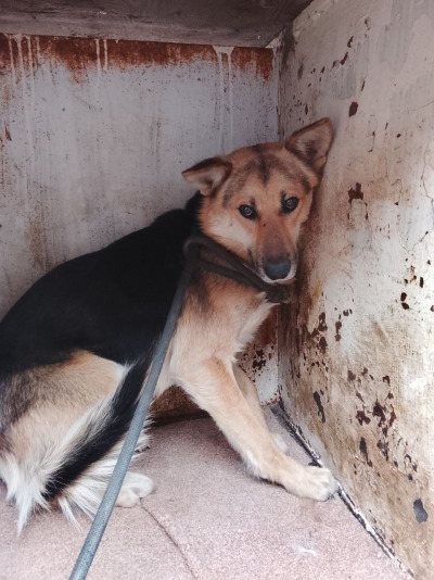 Иркутск 776/25