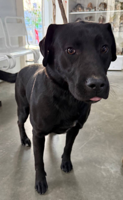 Иркутск 781/25