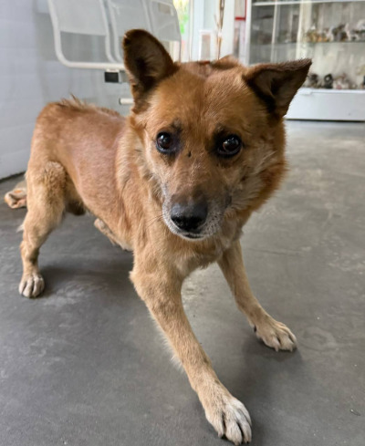 Иркутск 783/25