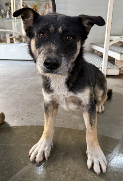 Иркутск 786/25