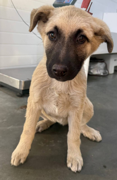 Иркутск 791/25