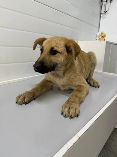 Иркутск 792/25