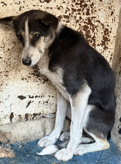 Иркутск 793/25