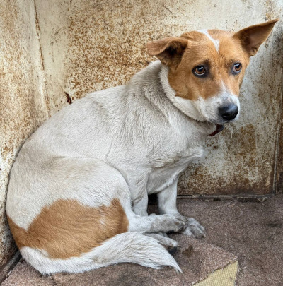 Иркутск 794/25