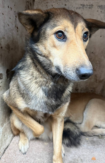 Иркутск 796/25