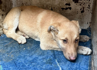 Иркутск 797/25