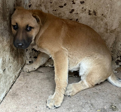 Иркутск 798/25