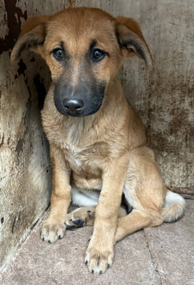 Иркутск 799/25