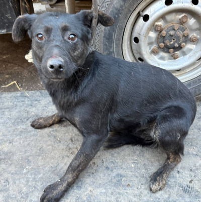 Иркутск 801/25