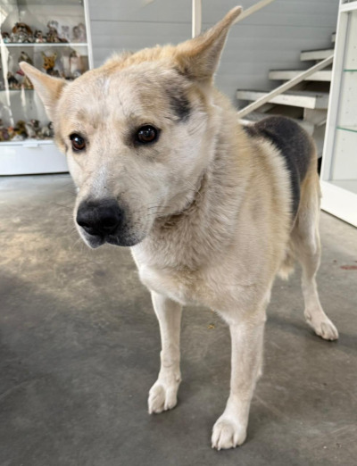 Иркутск 803/25