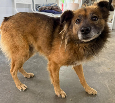 Иркутск 804/25