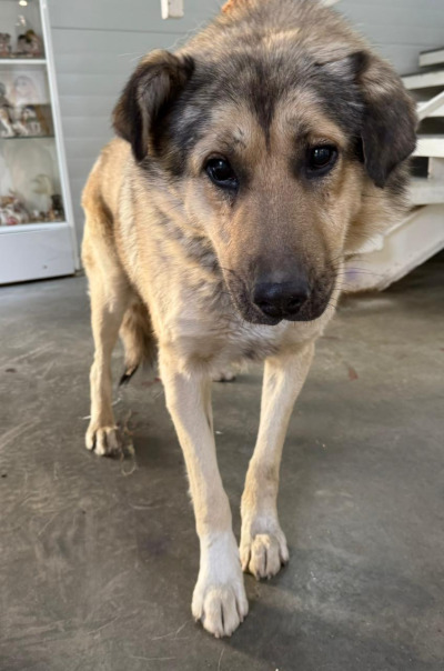 Иркутск 805/25