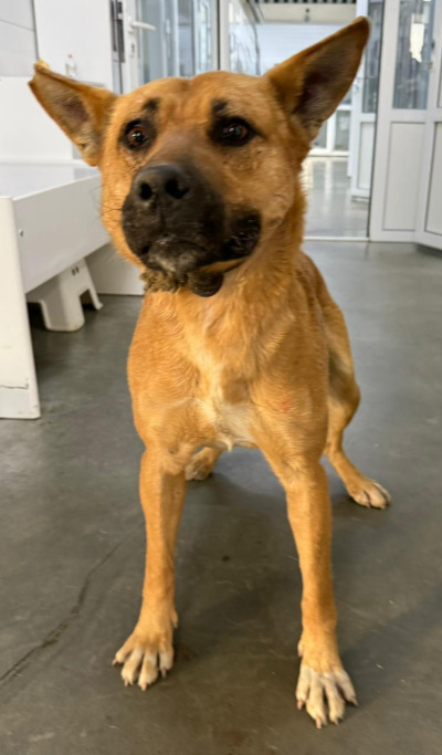 Иркутск 806/25