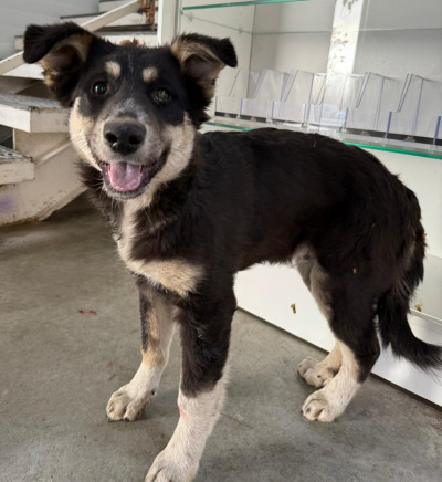 Иркутск 808/25