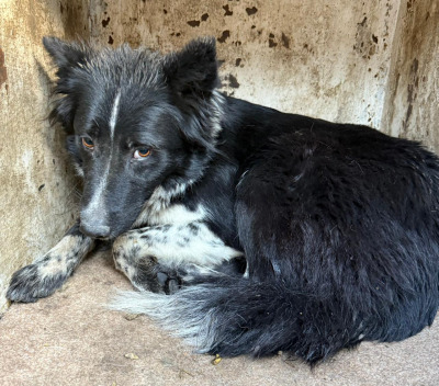 Иркутск 809/25