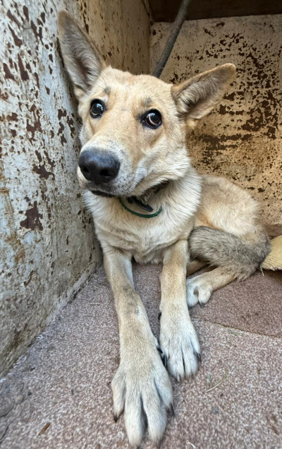 Иркутск 810/25