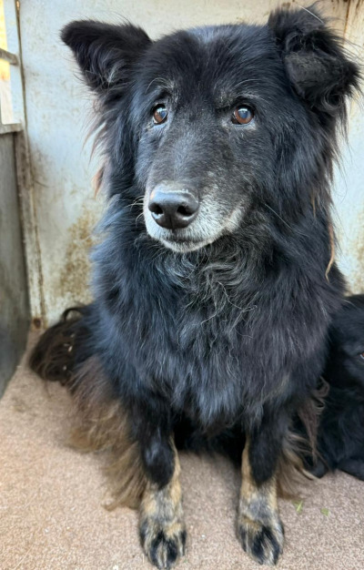 Иркутск 811/25