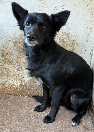 Иркутск 812/25