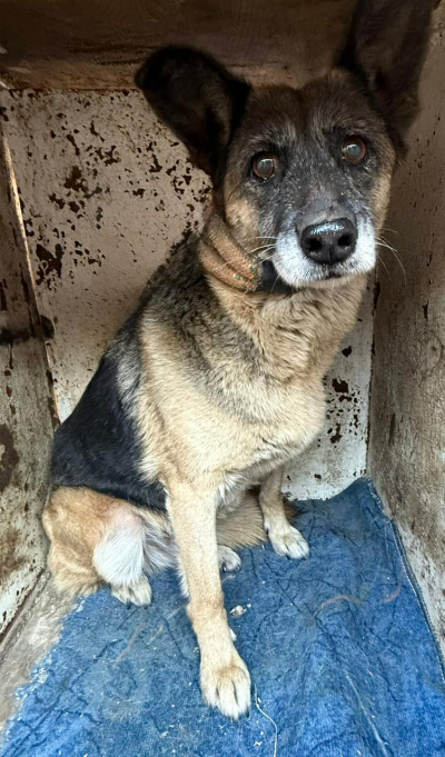 Иркутск 813/25