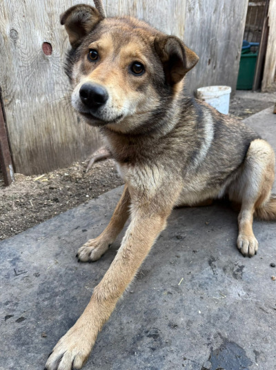 Иркутск 814/25