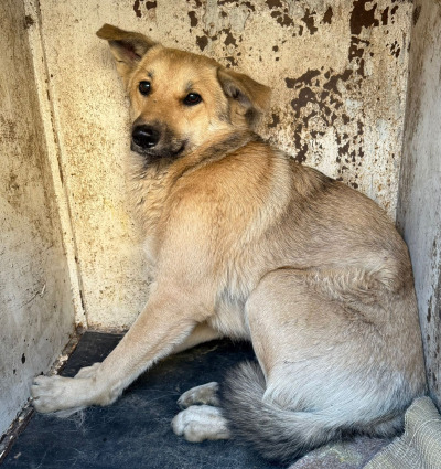 Иркутск 815/25