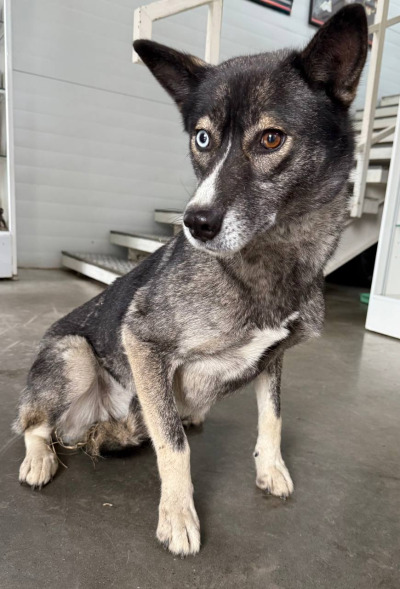 Иркутск 816/25